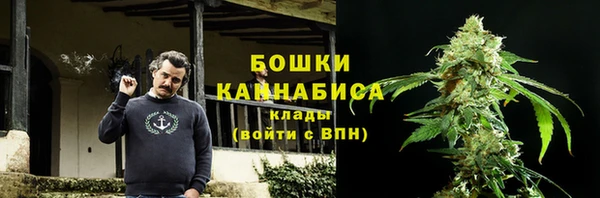 индика Навашино