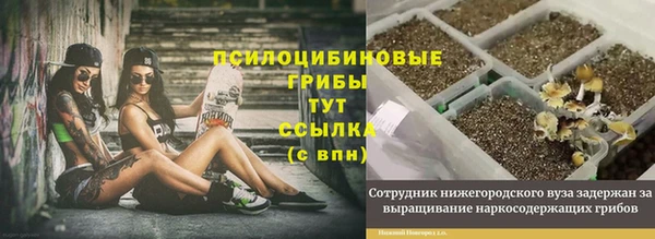 PSILOCYBIN Алексеевка