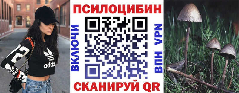 blacksprut ссылка Кохма Галлюциногенные грибы мицелий наркошоп