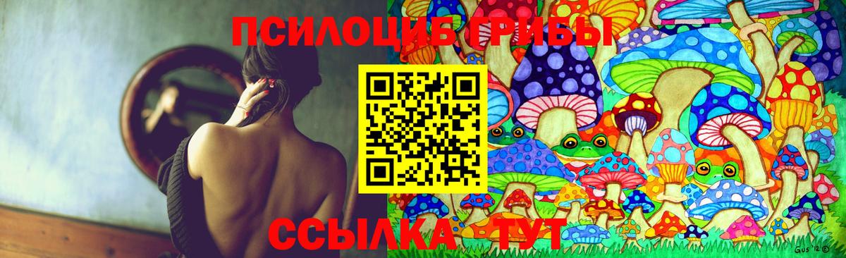 Кохма  Псилоцибиновые грибы Psilocybe  Вход с VPN 